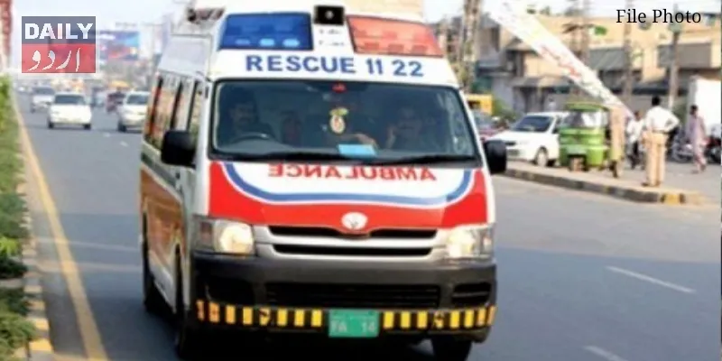دہشتگردی