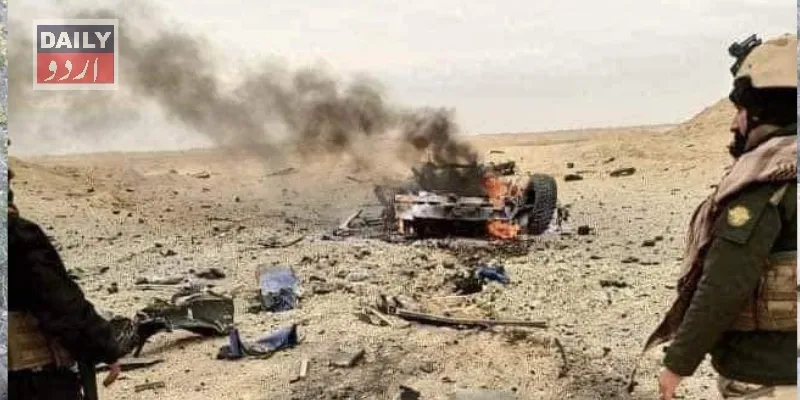 دہشتگردی