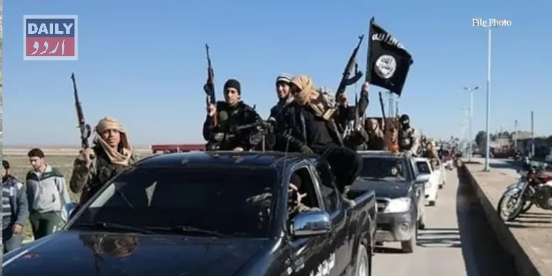 دہشتگردی