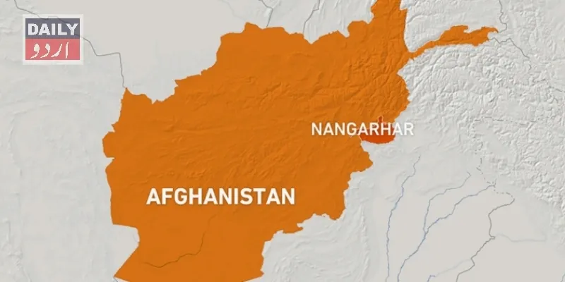 دہشتگردی