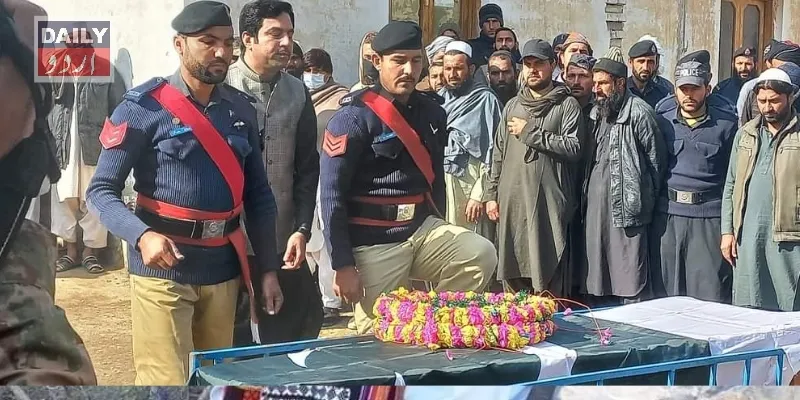 دہشتگردی