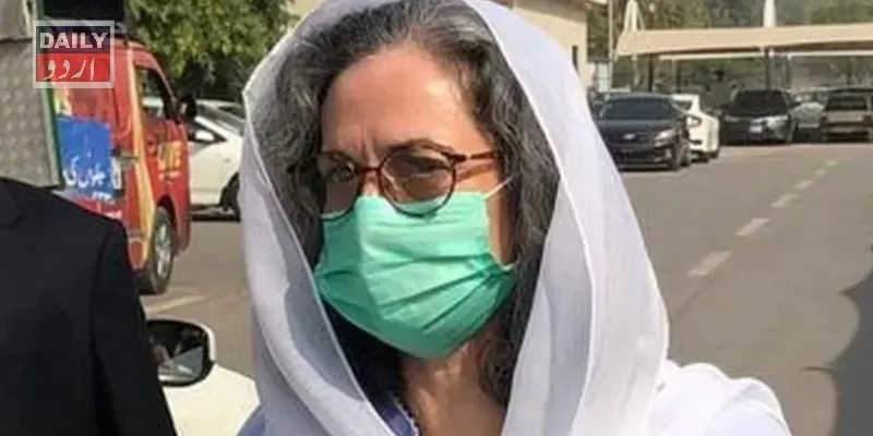کورٹس