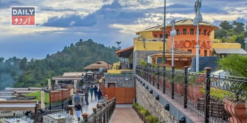 کورٹس