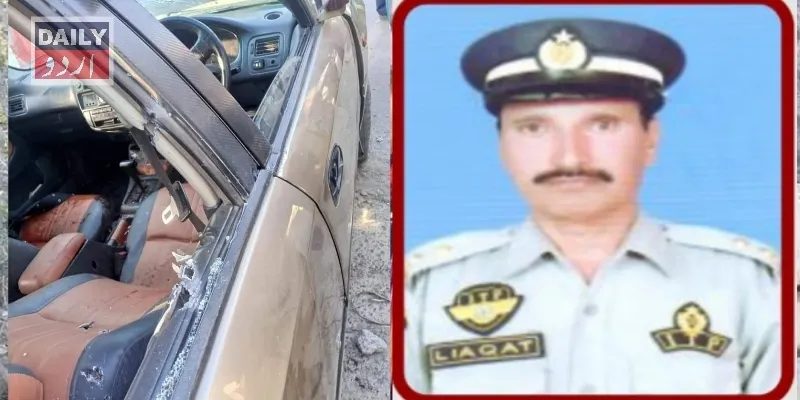 کرائمز