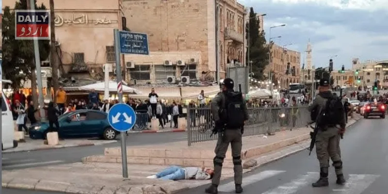 دہشتگردی