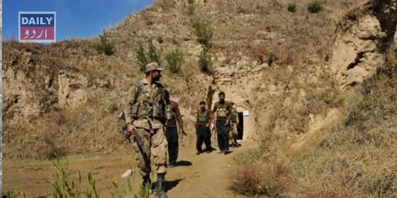 دہشتگردی