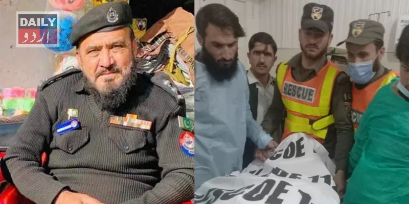 دہشتگردی
