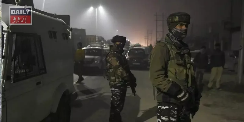 دہشتگردی