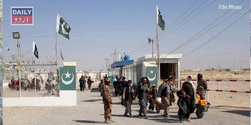 دہشتگردی