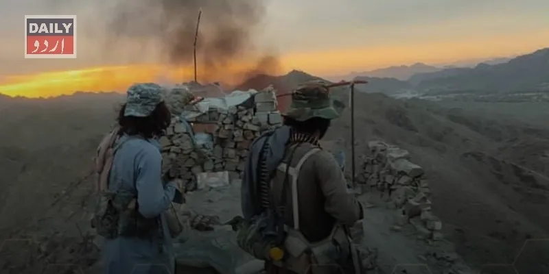 دہشتگردی