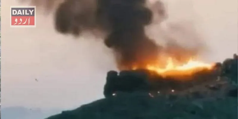دہشتگردی