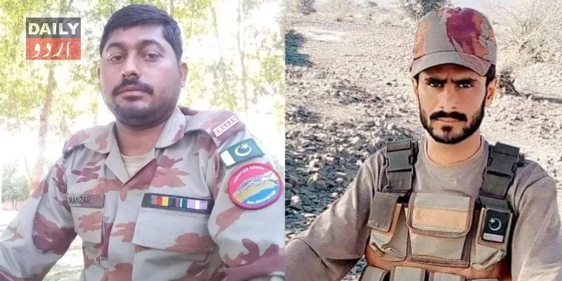 دہشتگردی