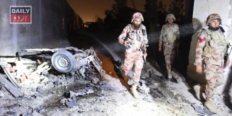 دہشتگردی