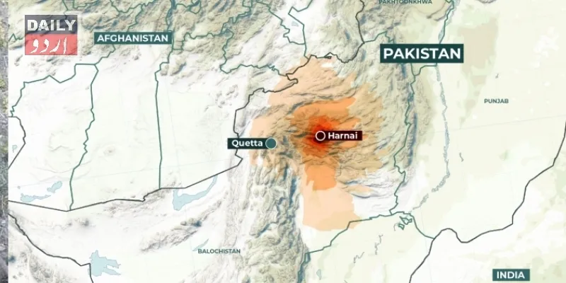 دہشتگردی