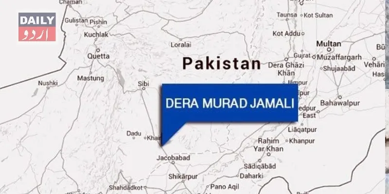 دہشتگردی