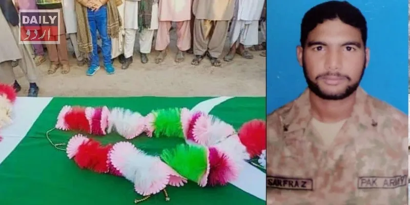 دہشتگردی