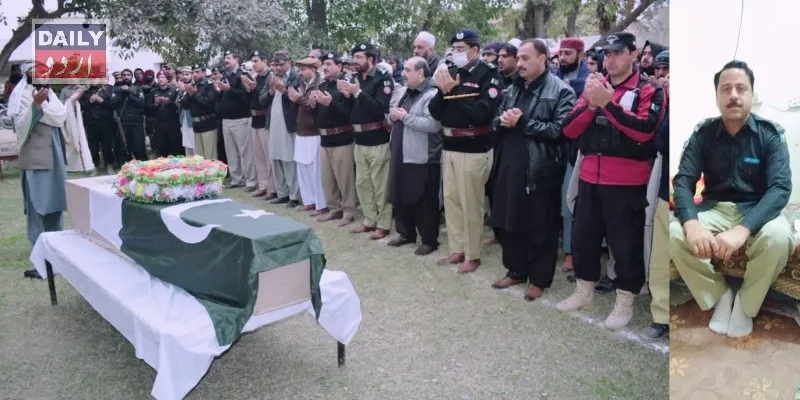 دہشتگردی