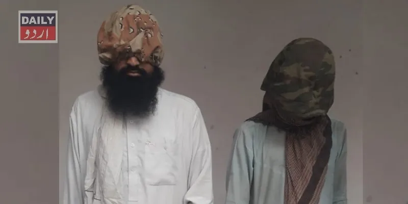 دہشتگردی