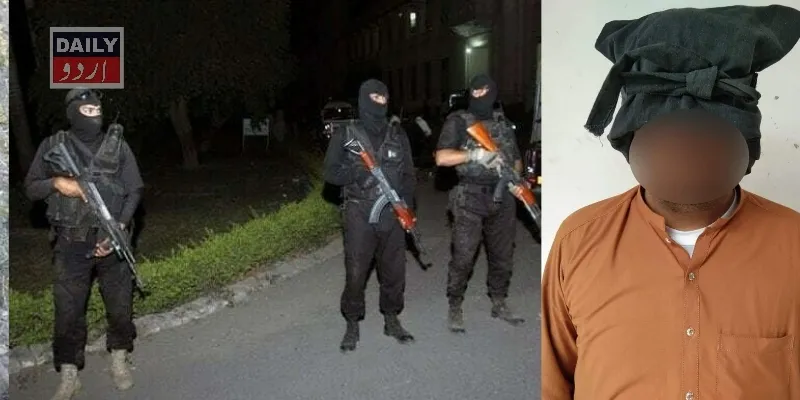 دہشتگردی