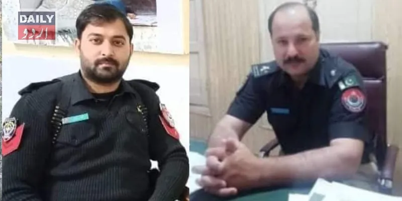 دہشتگردی