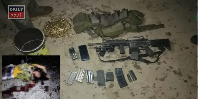 دہشتگردی