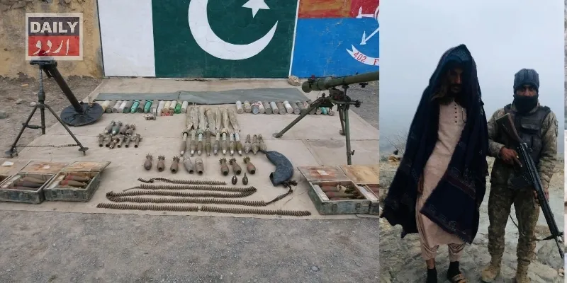 دہشتگردی