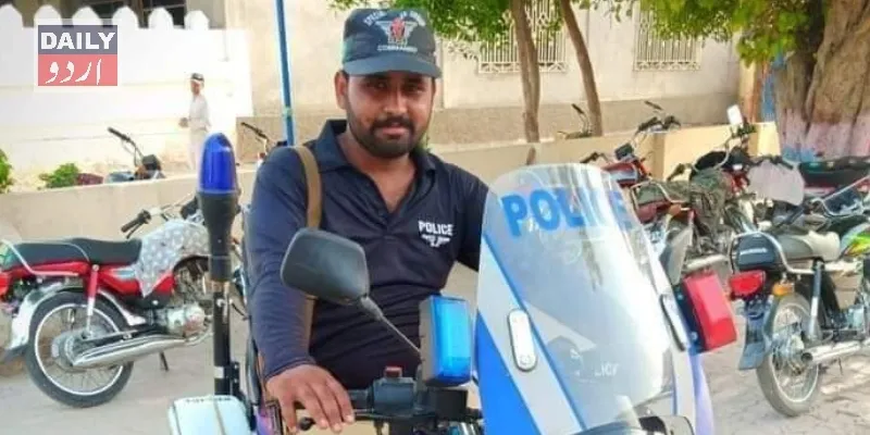 دہشتگردی