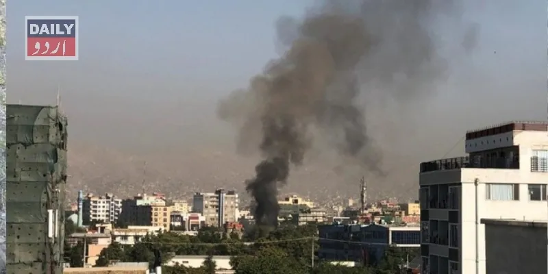 دہشتگردی