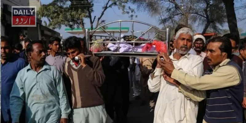کورٹس