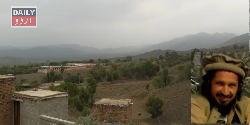 دہشتگردی