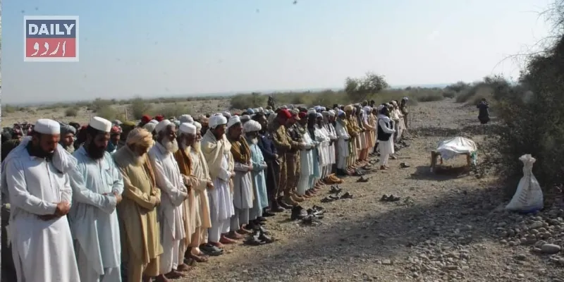 دہشتگردی