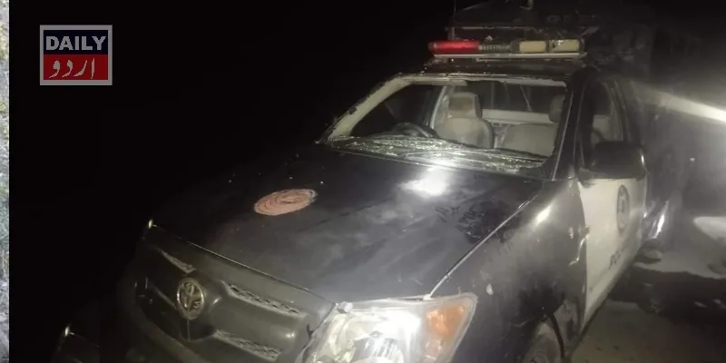 دہشتگردی