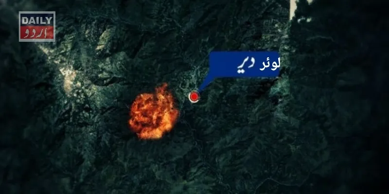 دہشتگردی