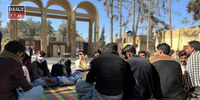 تعلیم
