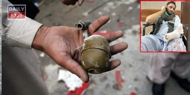 دہشتگردی