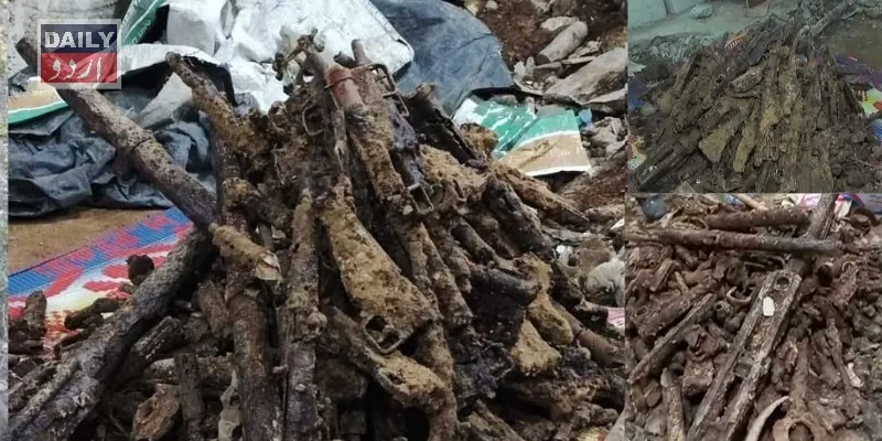 دہشتگردی