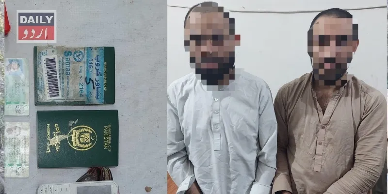 دہشتگردی