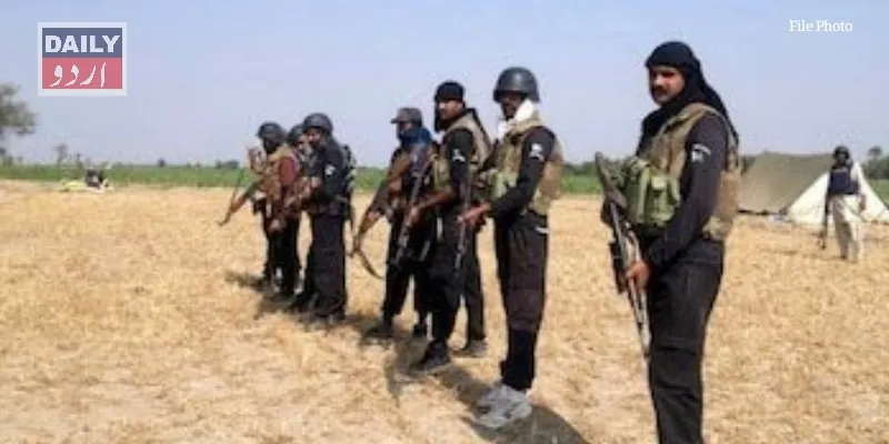 دہشتگردی