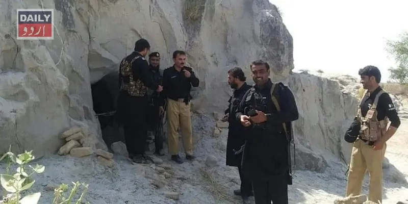 دہشتگردی