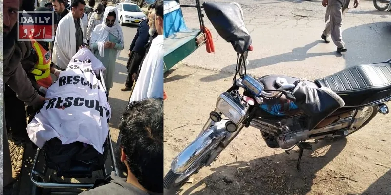 دہشتگردی
