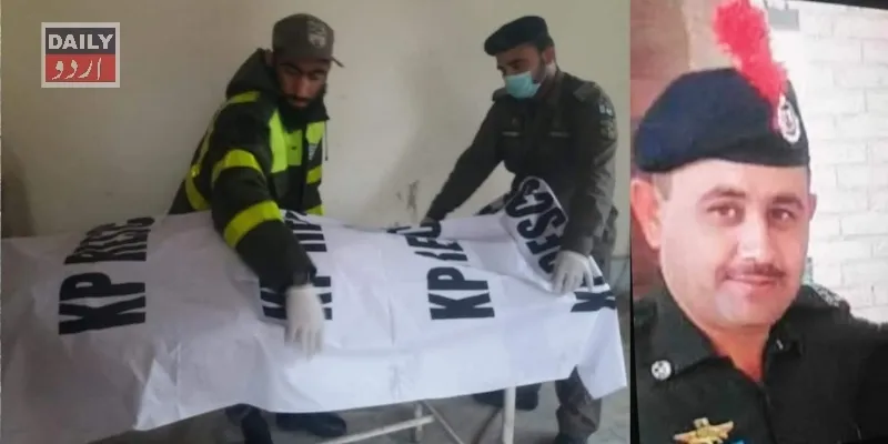 دہشتگردی