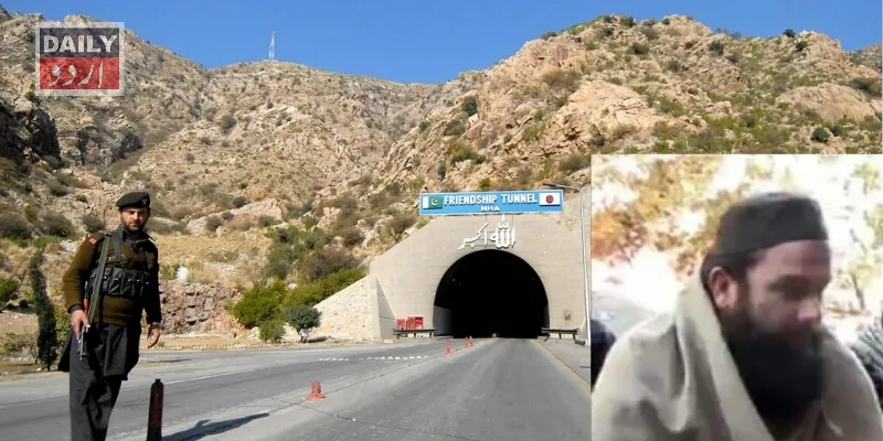 دہشتگردی