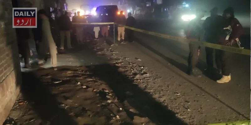 دہشتگردی