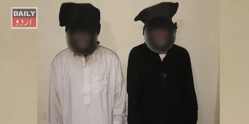 دہشتگردی