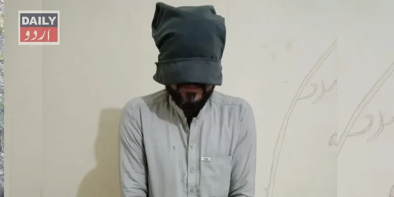 دہشتگردی