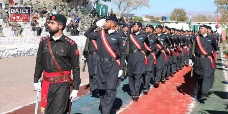 دہشتگردی
