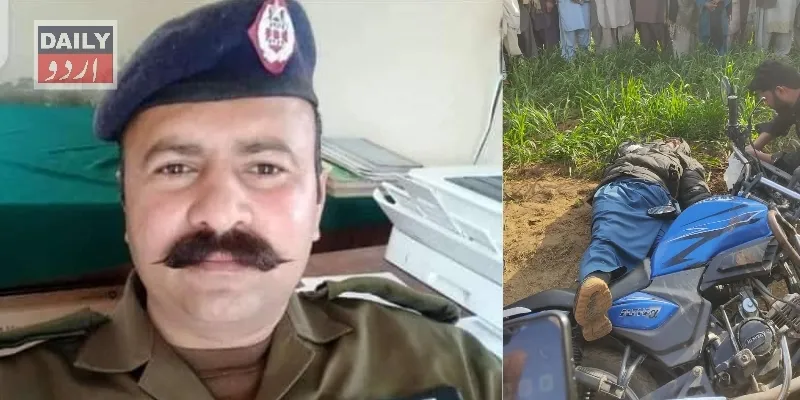 دہشتگردی