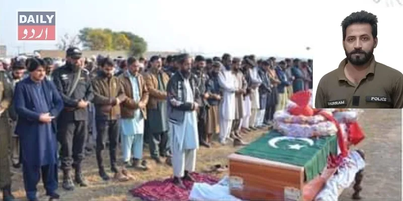 دہشتگردی
