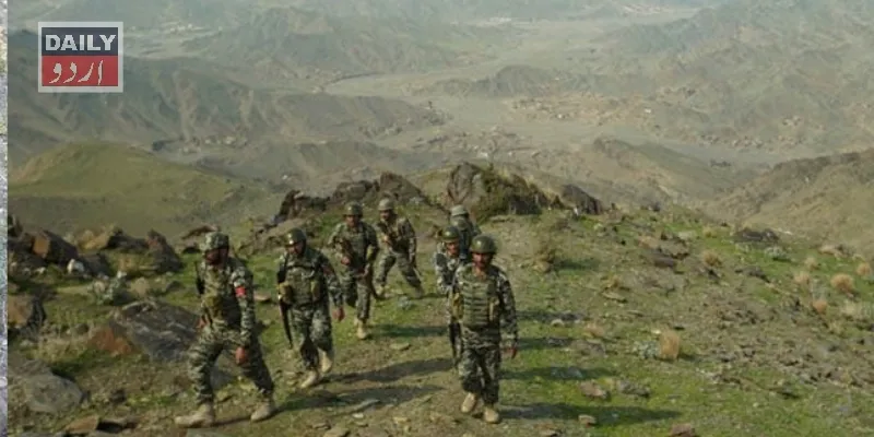 دہشتگردی