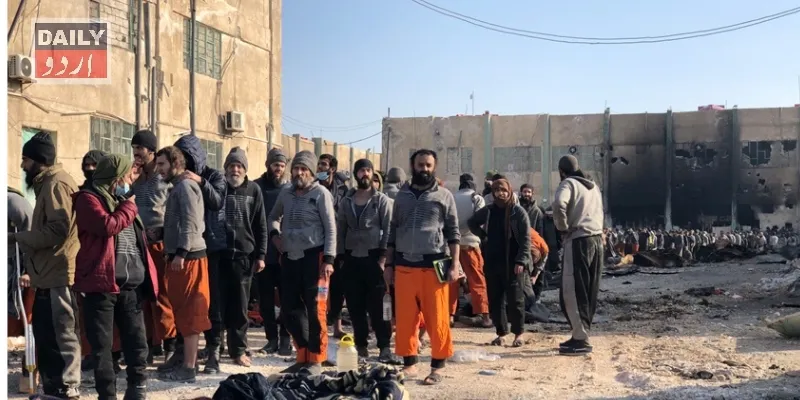 دہشتگردی